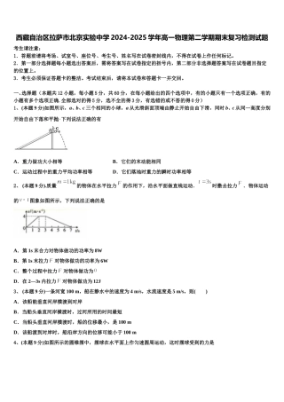 西藏自治区拉萨市北京实验中学2024-2025学年高一物理第二学期期末复习检测试题含解析