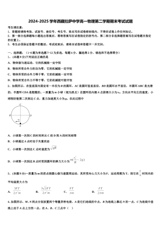 2024-2025学年西藏拉萨中学高一物理第二学期期末考试试题含解析