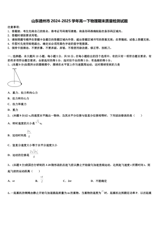 山东德州市2024-2025学年高一下物理期末质量检测试题含解析
