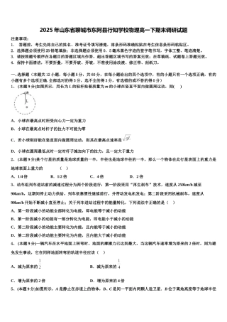 2025年山东省聊城市东阿县行知学校物理高一下期末调研试题含解析