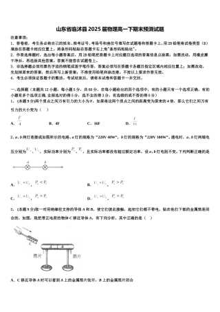山东省临沭县2025届物理高一下期末预测试题含解析
