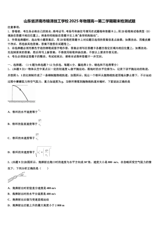 山东省济南市锦泽技工学校2025年物理高一第二学期期末检测试题含解析