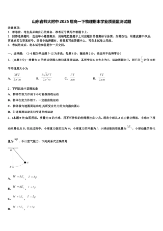 山东省师大附中2025届高一下物理期末学业质量监测试题含解析