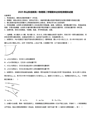 2025年山东省新高一物理第二学期期末达标检测模拟试题含解析