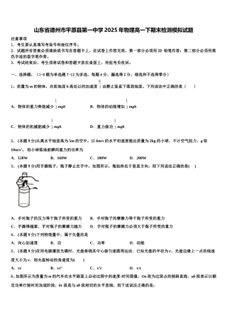 山东省德州市平原县第一中学2025年物理高一下期末检测模拟试题含解析