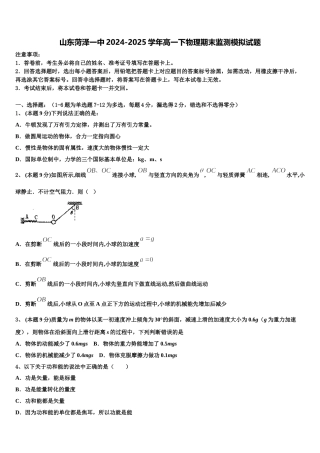 山东菏泽一中2024-2025学年高一下物理期末监测模拟试题含解析