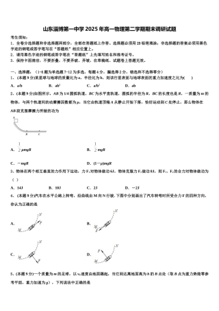 山东淄博第一中学2025年高一物理第二学期期末调研试题含解析