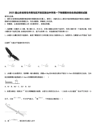 2025届山东省青岛市黄岛区开发区致远中学高一下物理期末综合测试模拟试题含解析