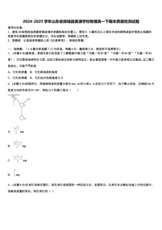 2024-2025学年山东省郯城县美澳学校物理高一下期末质量检测试题含解析