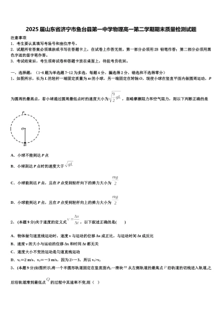 2025届山东省济宁市鱼台县第一中学物理高一第二学期期末质量检测试题含解析