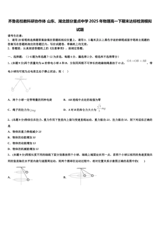 齐鲁名校教科研协作体 山东、湖北部分重点中学2025年物理高一下期末达标检测模拟试题含解析