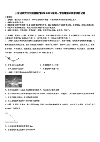 山东省泰安市宁阳县第四中学2025届高一下物理期末统考模拟试题含解析