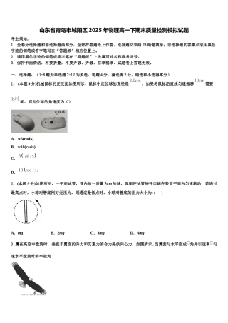 山东省青岛市城阳区2025年物理高一下期末质量检测模拟试题含解析