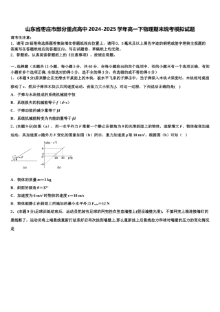 山东省枣庄市部分重点高中2024-2025学年高一下物理期末统考模拟试题含解析