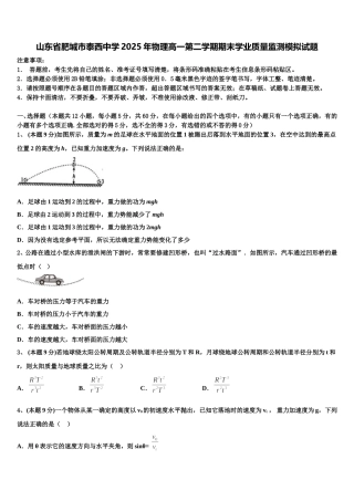 山东省肥城市泰西中学2025年物理高一第二学期期末学业质量监测模拟试题含解析