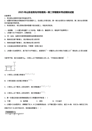 2025年山东省青岛市物理高一第二学期期末考试模拟试题含解析