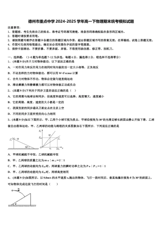 德州市重点中学2024-2025学年高一下物理期末统考模拟试题含解析