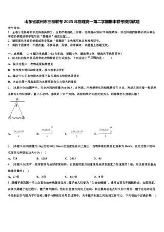 山东省滨州市三校联考2025年物理高一第二学期期末联考模拟试题含解析