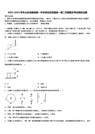 2024-2025学年山东省聊城第一中学老校区物理高一第二学期期末考试模拟试题含解析