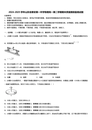 2024-2025学年山东省泰安第一中学物理高一第二学期期末质量跟踪监视试题含解析