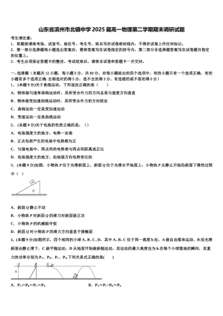 山东省滨州市北镇中学2025届高一物理第二学期期末调研试题含解析