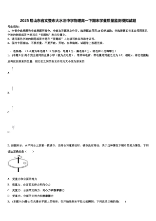 2025届山东省文登市大水泊中学物理高一下期末学业质量监测模拟试题含解析