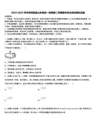 2024-2025学年百师联盟山东卷高一物理第二学期期末综合测试模拟试题含解析