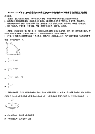 2024-2025学年山东省泰安市泰山区泰安一中物理高一下期末学业质量监测试题含解析