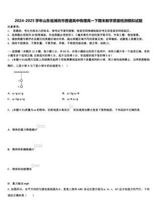 2024-2025学年山东省潍坊市普通高中物理高一下期末教学质量检测模拟试题含解析