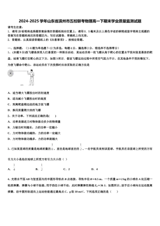 2024-2025学年山东省滨州市五校联考物理高一下期末学业质量监测试题含解析