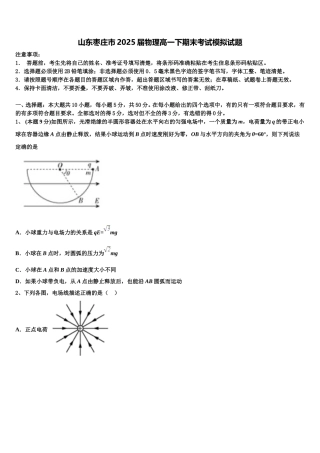山东枣庄市2025届物理高一下期末考试模拟试题含解析