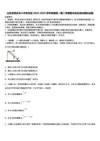 山东省枣庄市八中东校区2024-2025学年物理高一第二学期期末综合测试模拟试题含解析
