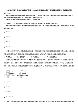 2024-2025学年山东临沂市第十九中学物理高一第二学期期末质量检测模拟试题含解析