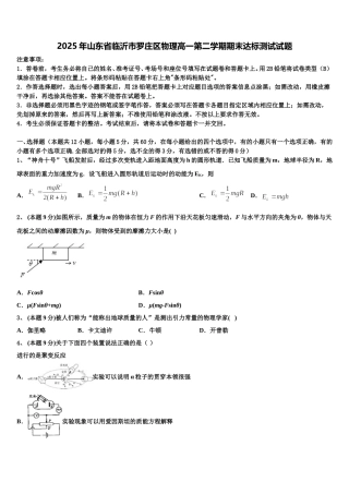 2025年山东省临沂市罗庄区物理高一第二学期期末达标测试试题含解析