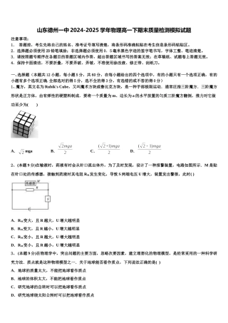 山东德州一中2024-2025学年物理高一下期末质量检测模拟试题含解析