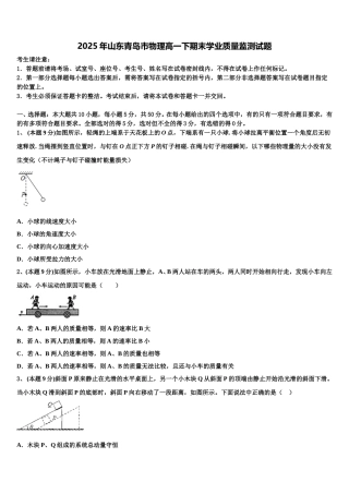 2025年山东青岛市物理高一下期末学业质量监测试题含解析