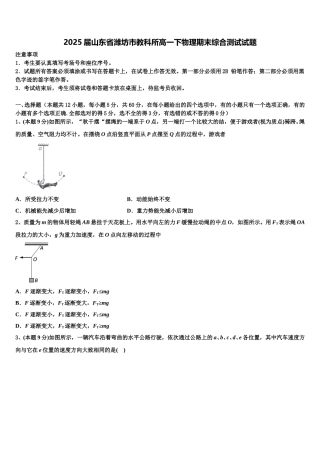 2025届山东省潍坊市教科所高一下物理期末综合测试试题含解析