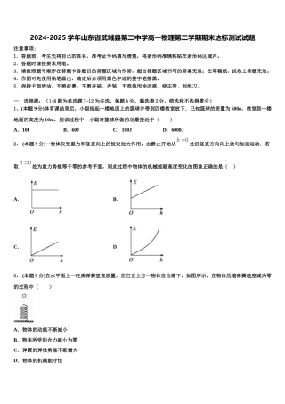 2024-2025学年山东省武城县第二中学高一物理第二学期期末达标测试试题含解析