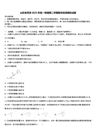 山东省菏泽2025年高一物理第二学期期末检测模拟试题含解析