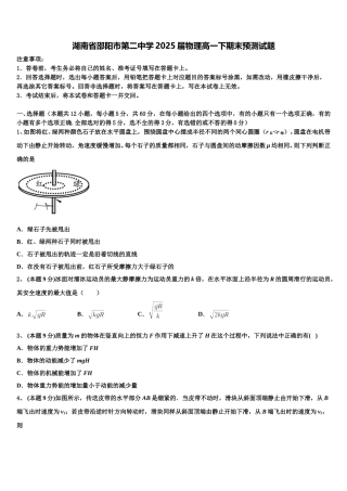 湖南省邵阳市第二中学2025届物理高一下期末预测试题含解析