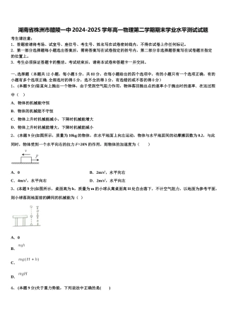 湖南省株洲市醴陵一中2024-2025学年高一物理第二学期期末学业水平测试试题含解析