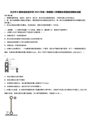长沙市K郡双语实验中学2025年高一物理第二学期期末质量检测模拟试题含解析