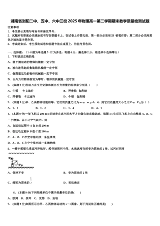 湖南省浏阳二中、五中、六中三校2025年物理高一第二学期期末教学质量检测试题含解析