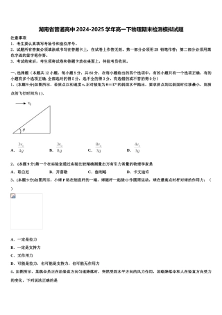 湖南省普通高中2024-2025学年高一下物理期末检测模拟试题含解析