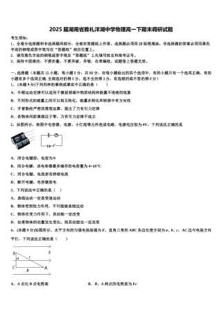 2025届湖南省雅礼洋湖中学物理高一下期末调研试题含解析