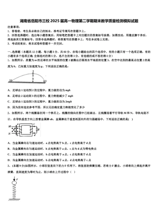 湖南省岳阳市三校2025届高一物理第二学期期末教学质量检测模拟试题含解析