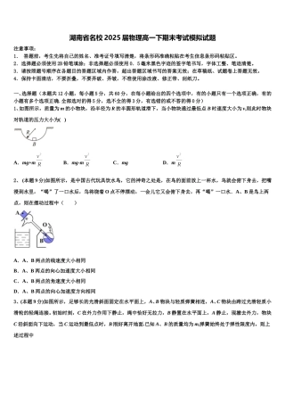 湖南省名校2025届物理高一下期末考试模拟试题含解析