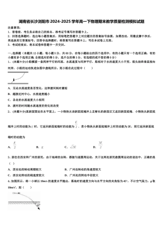 湖南省长沙浏阳市2024-2025学年高一下物理期末教学质量检测模拟试题含解析