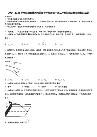 2024-2025学年湖南省株洲市第四中学物理高一第二学期期末达标检测模拟试题含解析