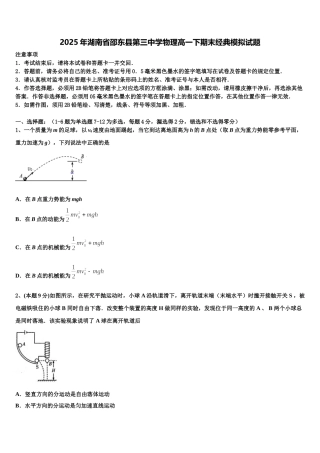 2025年湖南省邵东县第三中学物理高一下期末经典模拟试题含解析